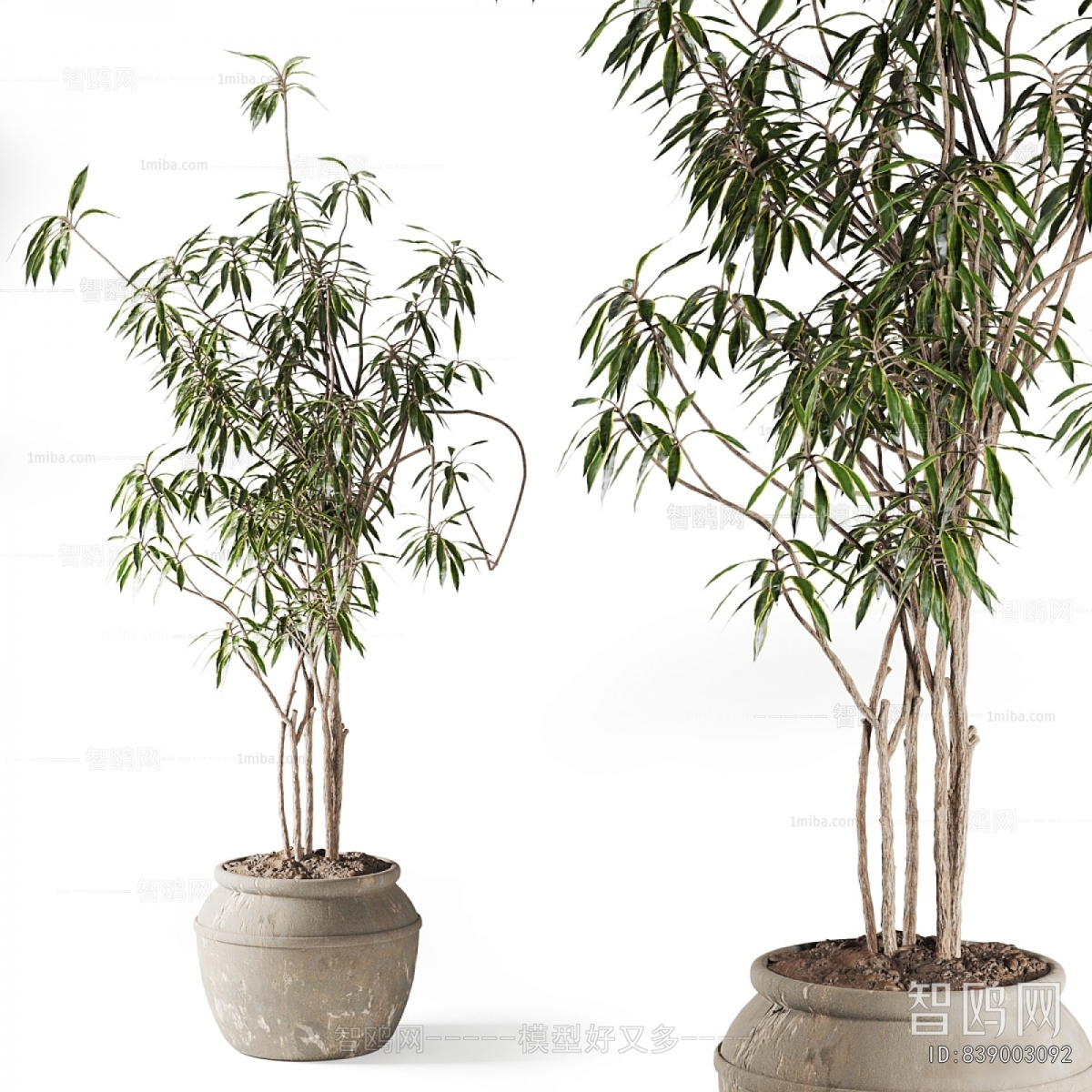 Modern Ground Green Plant Potted Plants