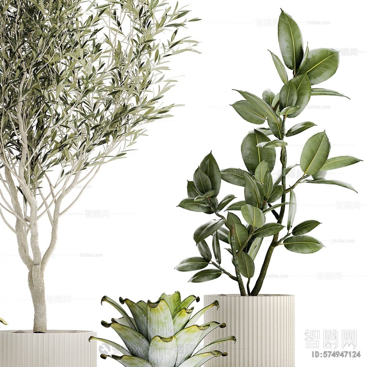 Modern Ground Green Plant Potted Plants