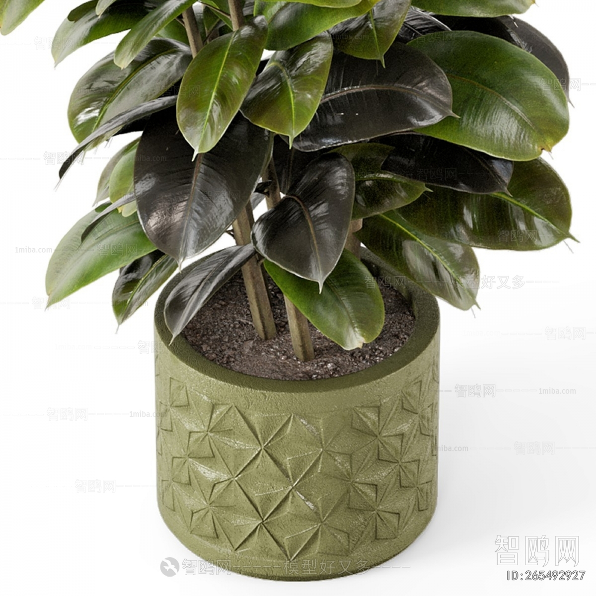 Modern Ground Green Plant Potted Plants