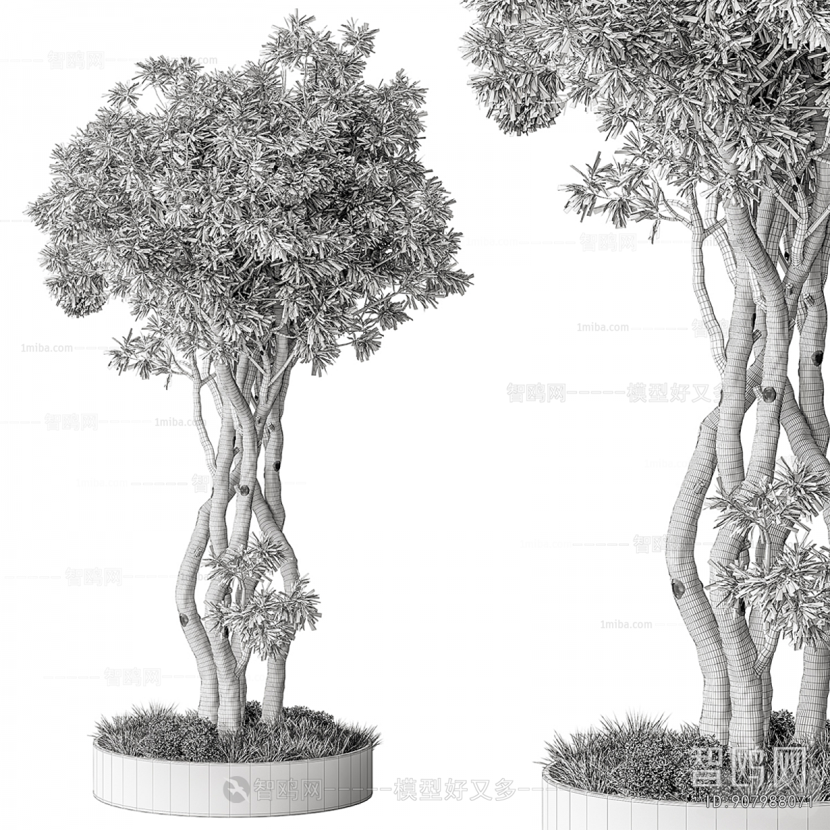 Modern Ground Green Plant Potted Plants