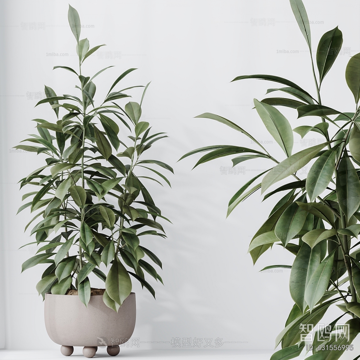 Modern Ground Green Plant Potted Plants