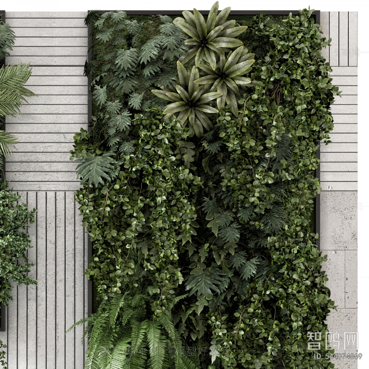 Modern Plant Wall