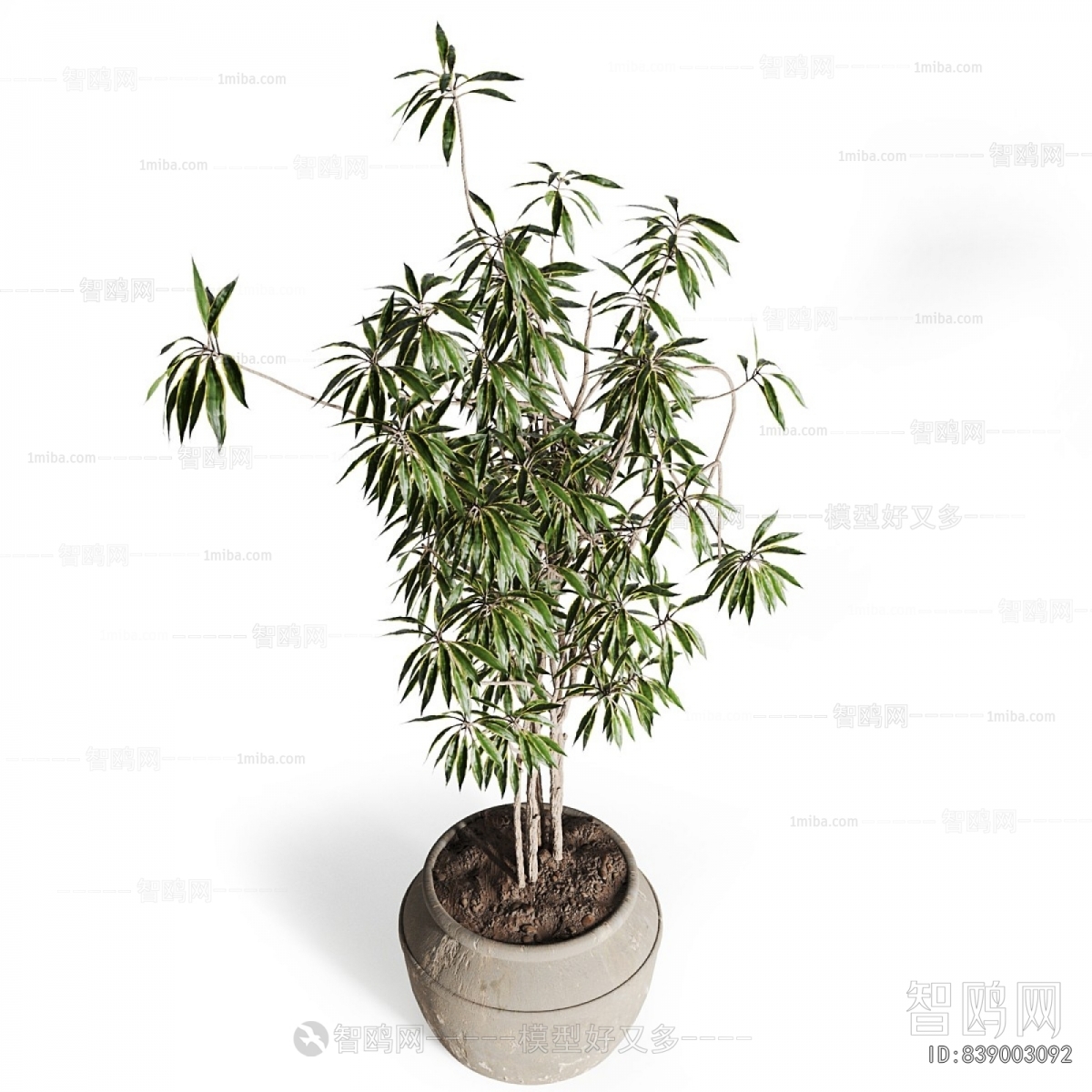 Modern Ground Green Plant Potted Plants