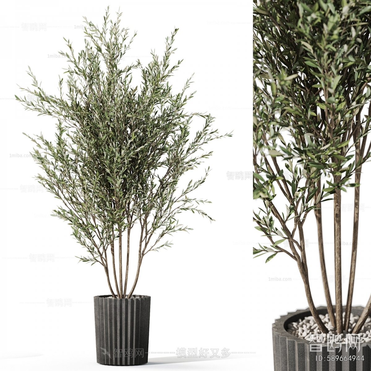 Modern Ground Green Plant Potted Plants