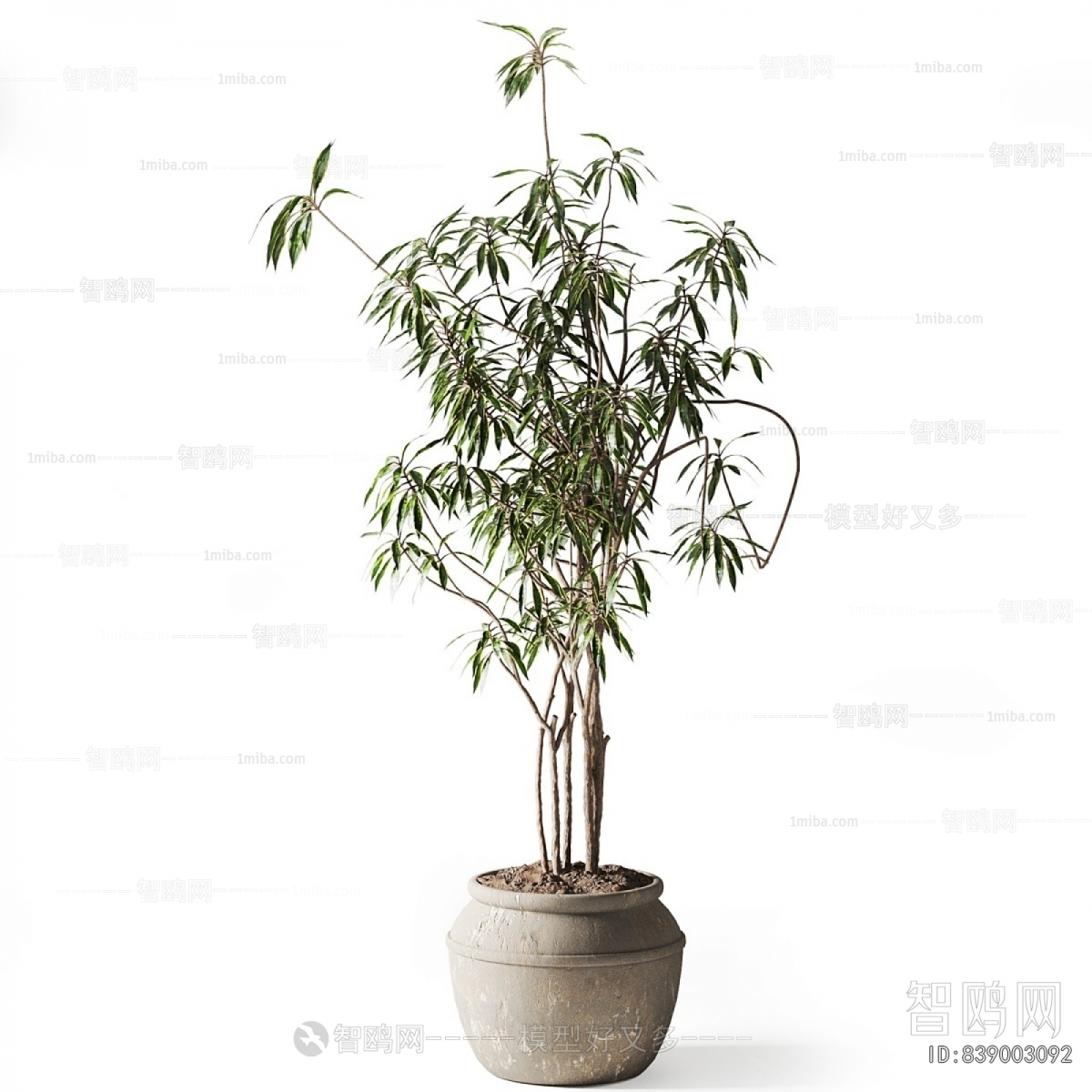 Modern Ground Green Plant Potted Plants