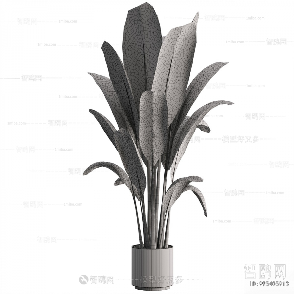 Modern Ground Green Plant Potted Plants