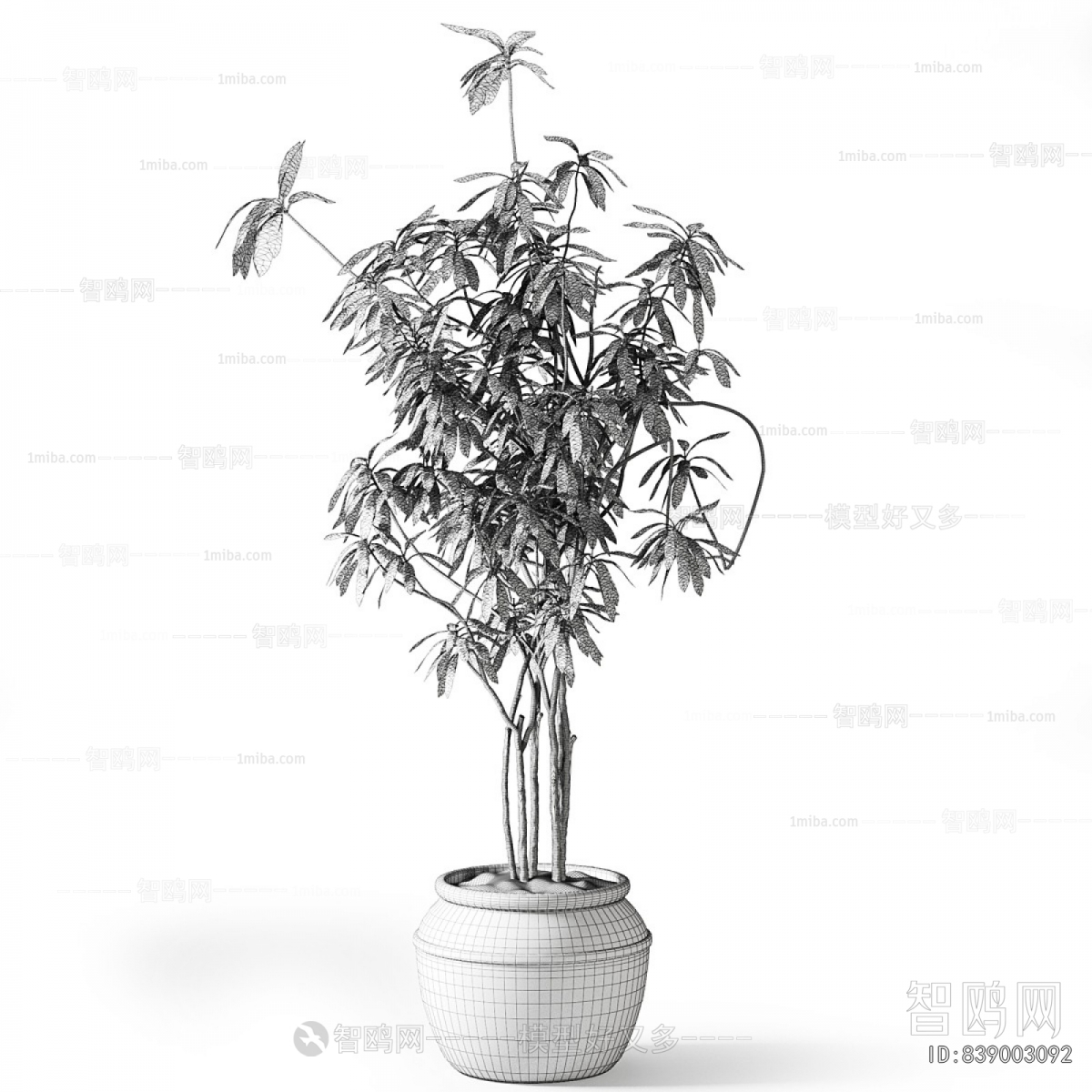Modern Ground Green Plant Potted Plants