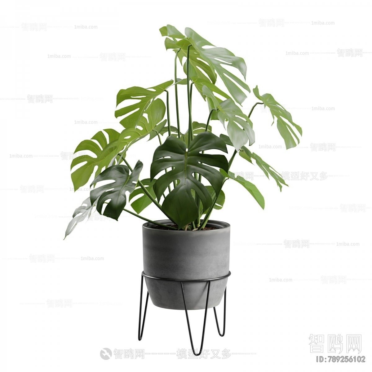 Modern Potted Green Plant