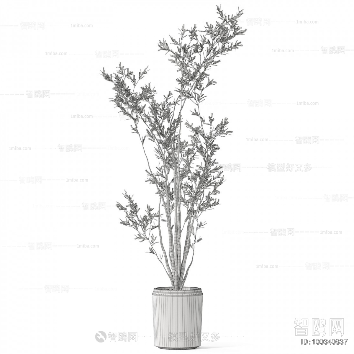 Modern Ground Green Plant Potted Plants