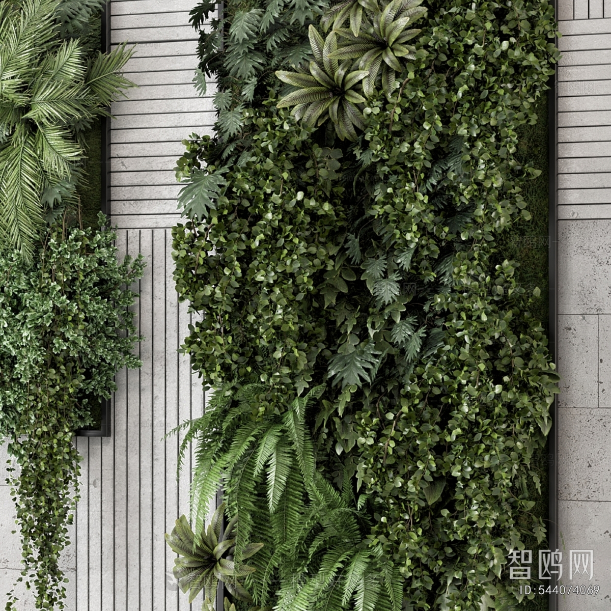 Modern Plant Wall