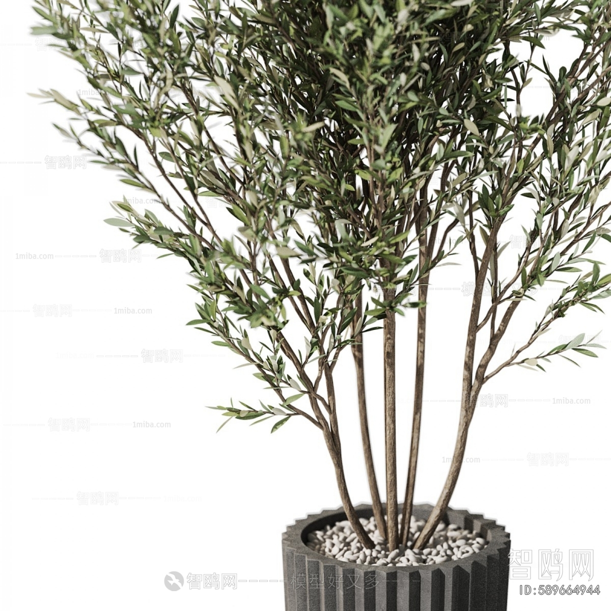 Modern Ground Green Plant Potted Plants