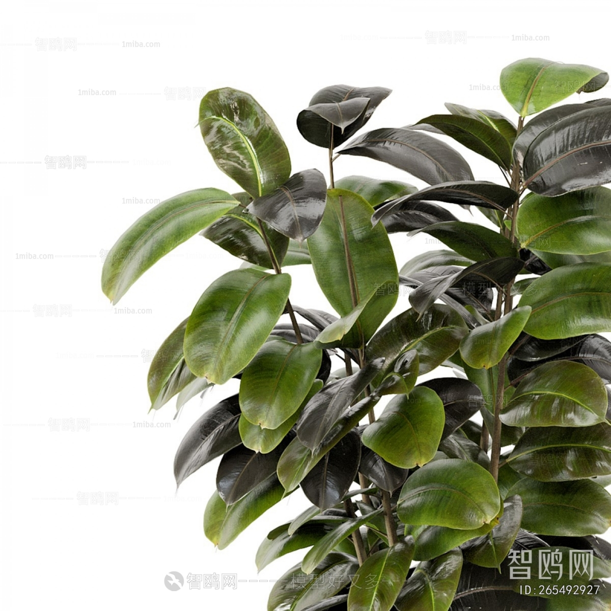 Modern Ground Green Plant Potted Plants