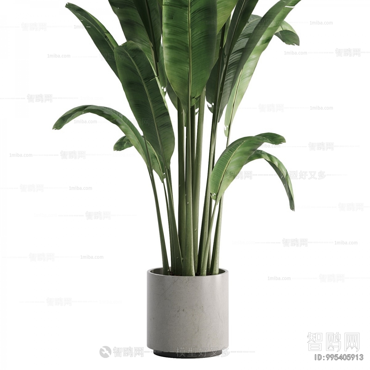 Modern Ground Green Plant Potted Plants