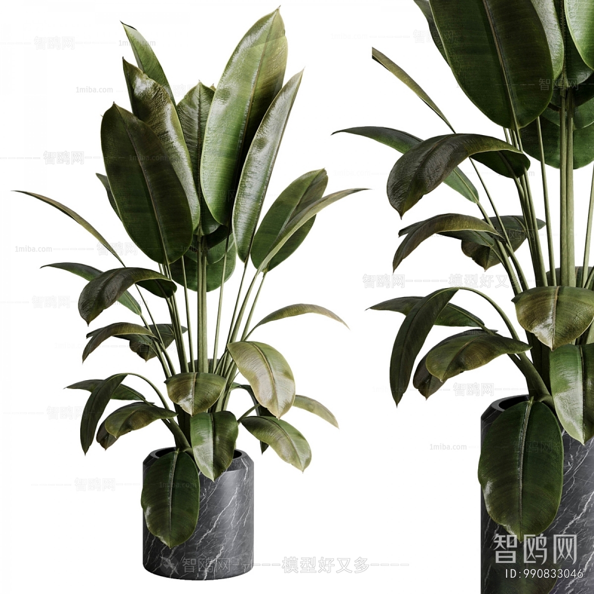 Modern Ground Green Plant Potted Plants