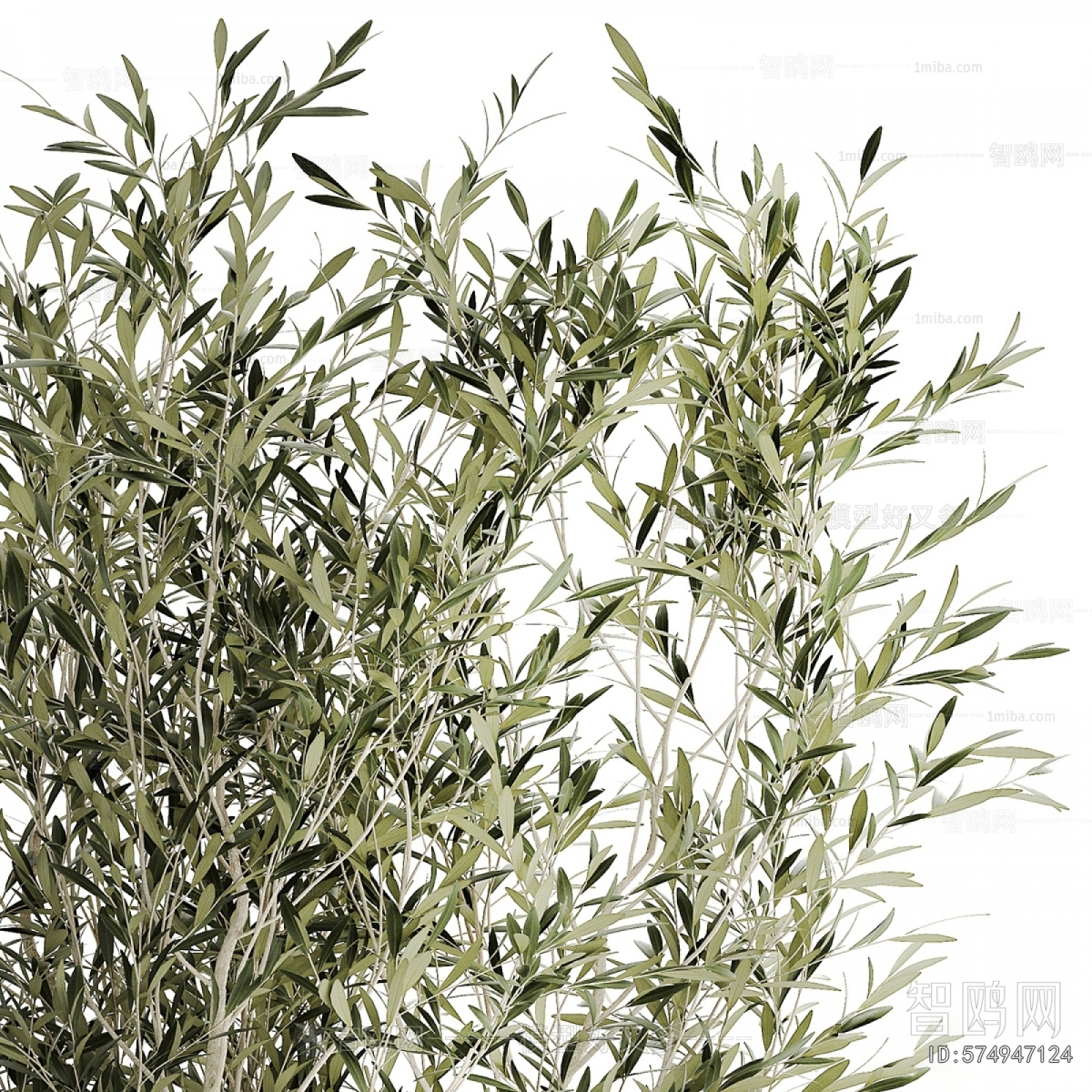 Modern Ground Green Plant Potted Plants