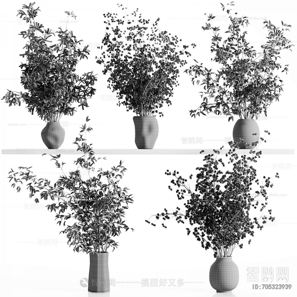 Modern Aquatic Green Plant