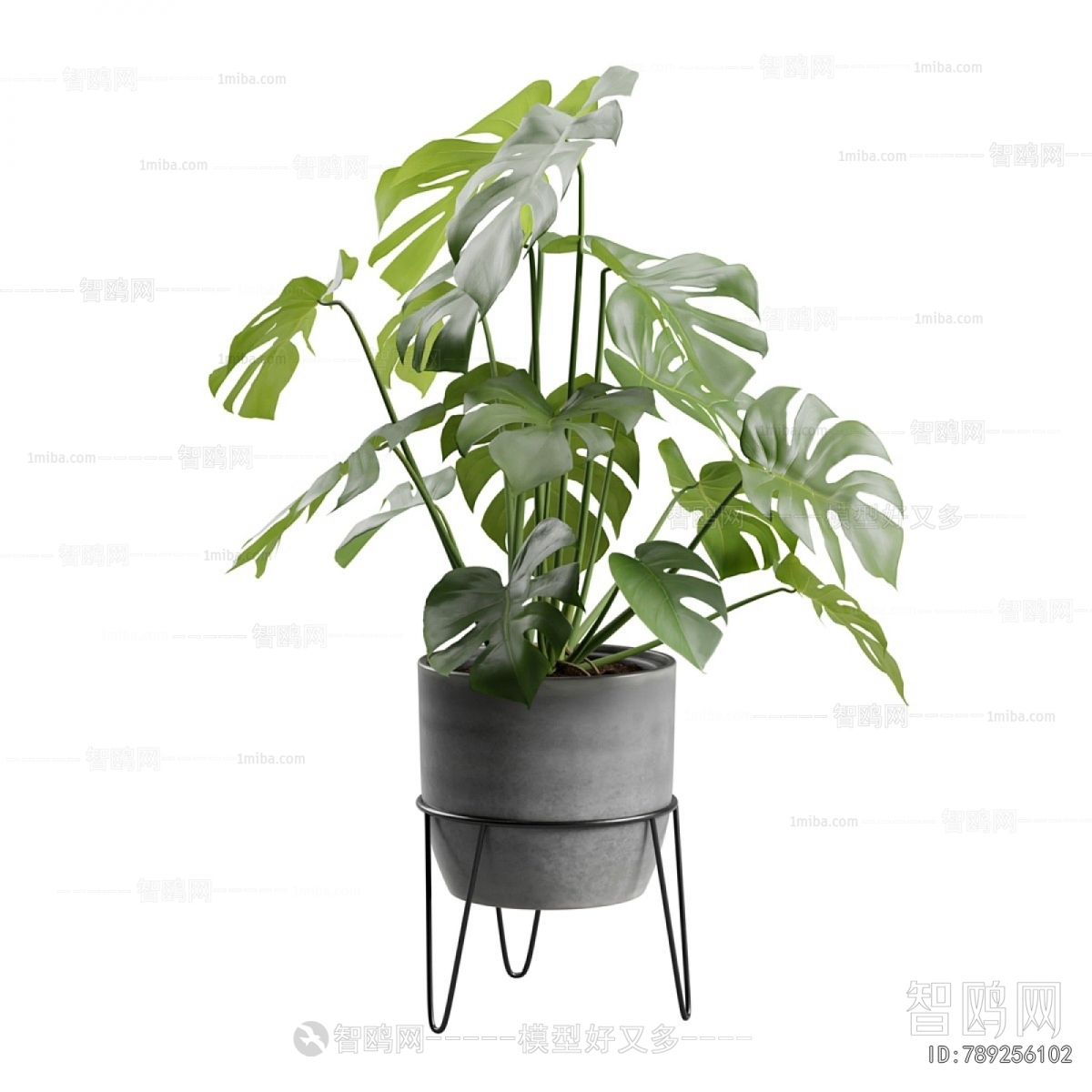 Modern Potted Green Plant