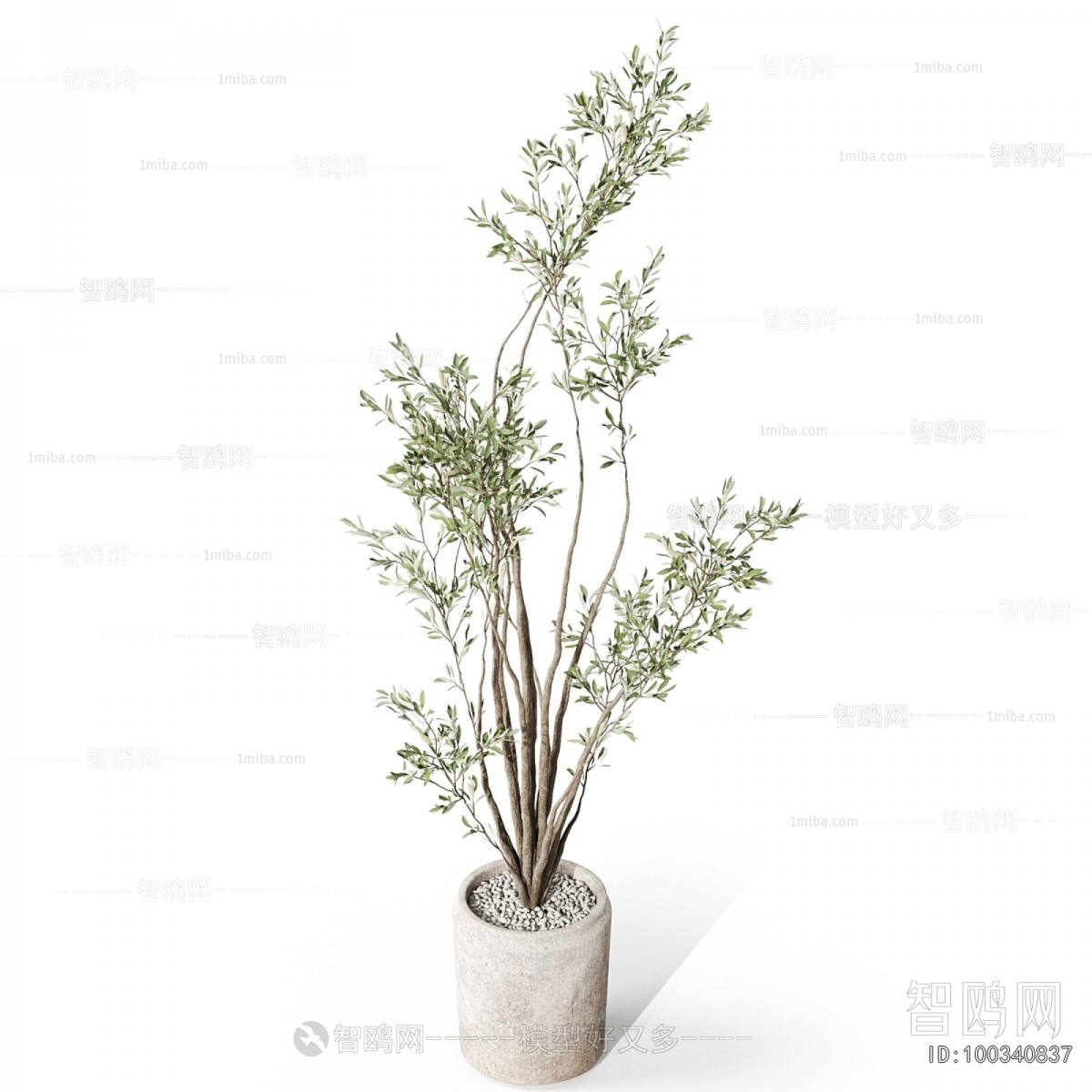 Modern Ground Green Plant Potted Plants