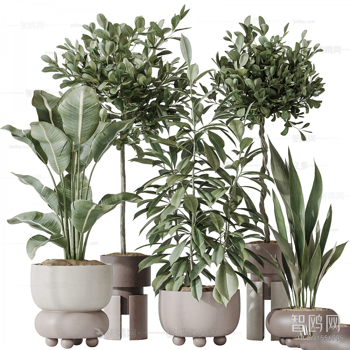 Modern Ground Green Plant Potted Plants