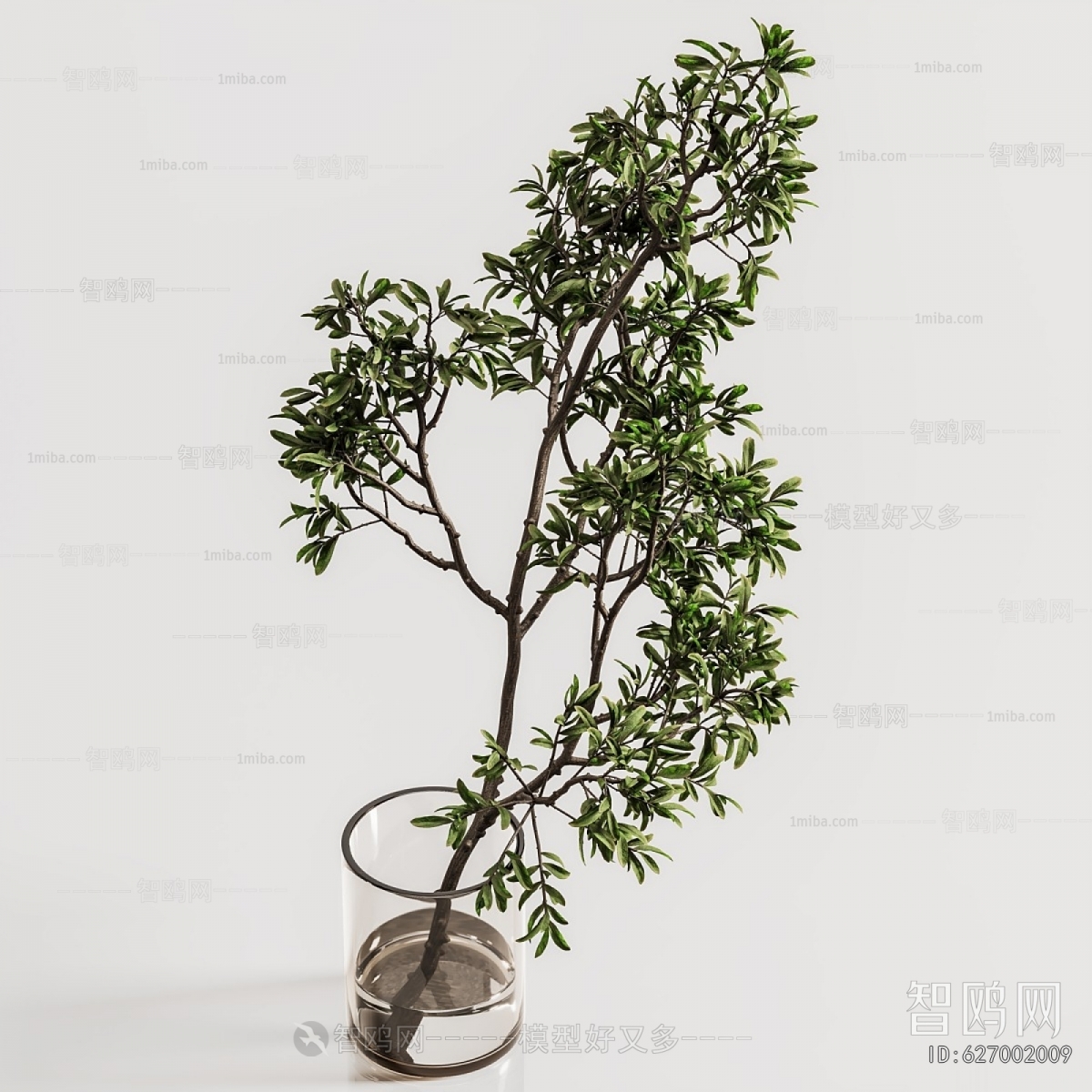 Modern Aquatic Green Plant