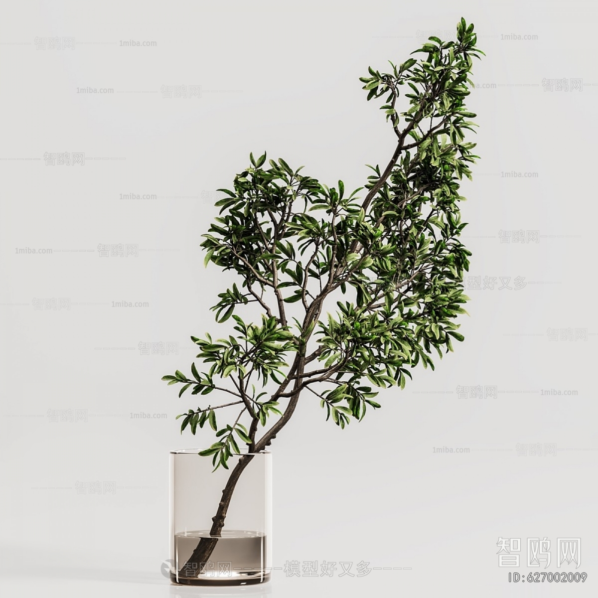 Modern Aquatic Green Plant