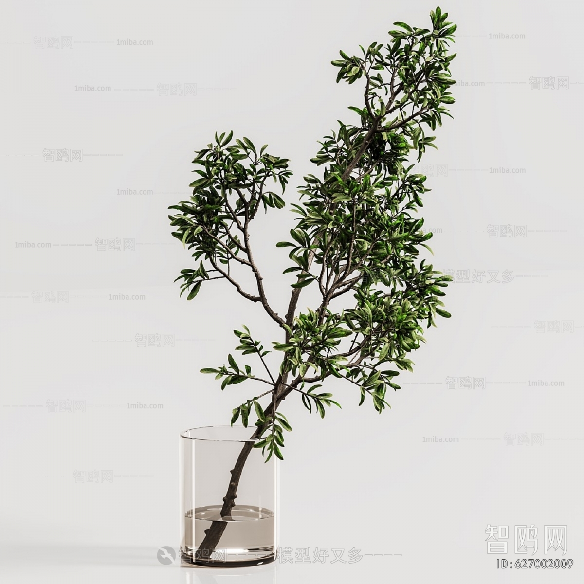 Modern Aquatic Green Plant