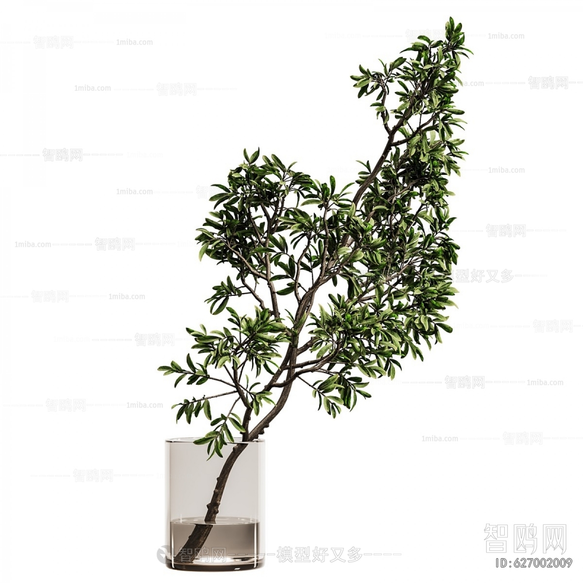 Modern Aquatic Green Plant