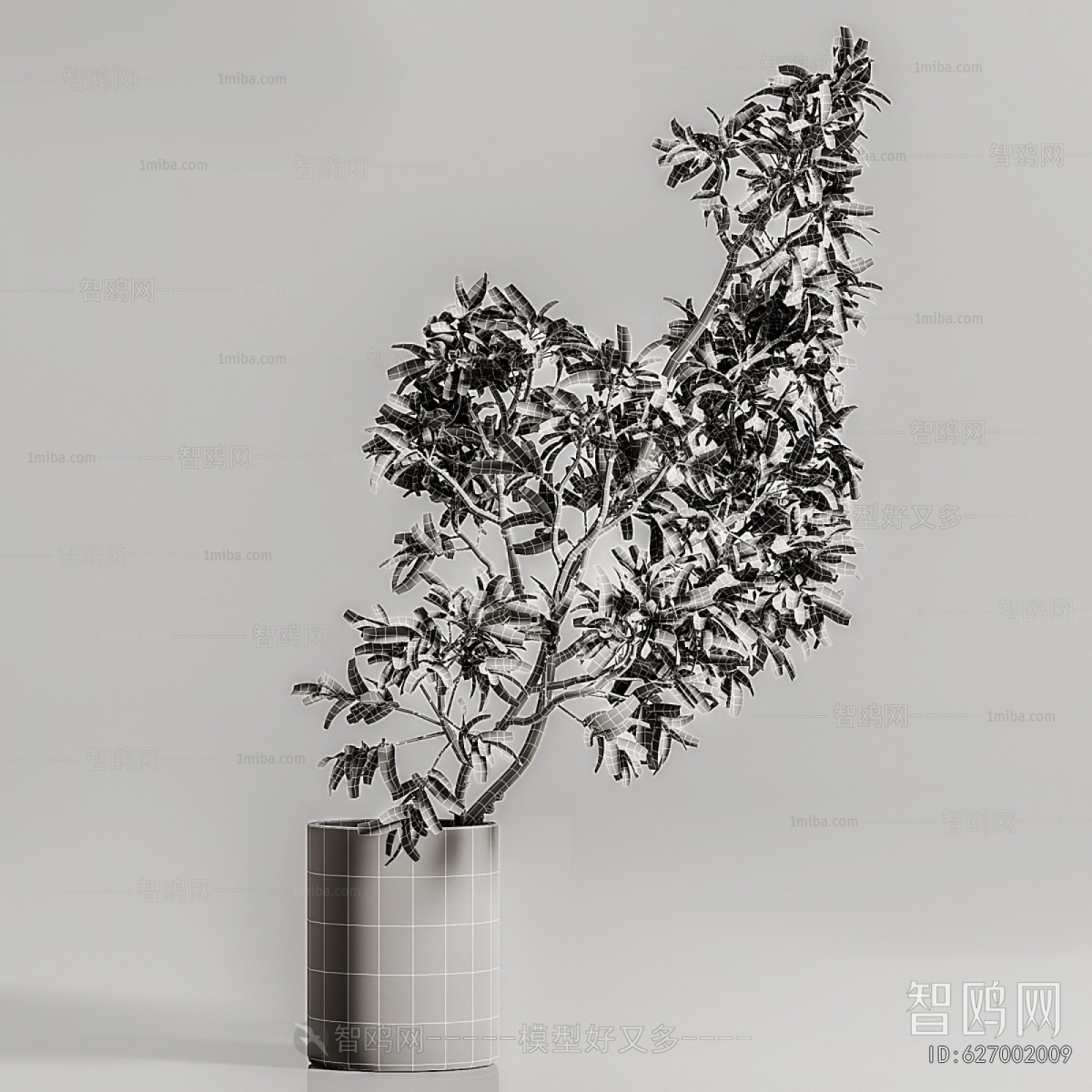 Modern Aquatic Green Plant