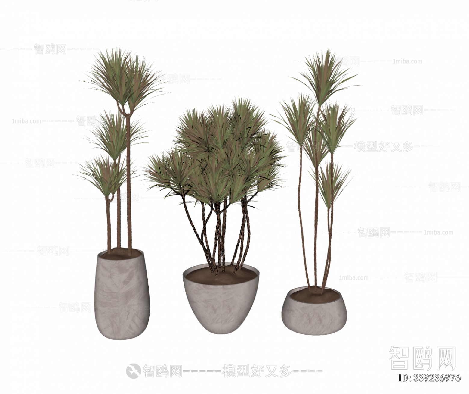 Modern Ground Green Plant Potted Plants