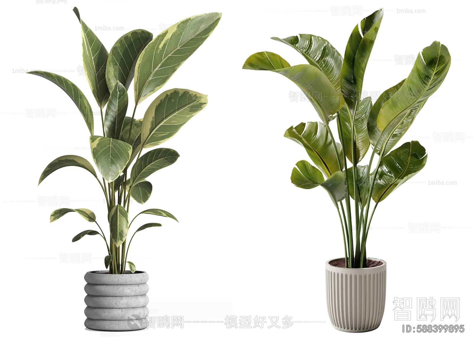 Modern Ground Green Plant Potted Plants