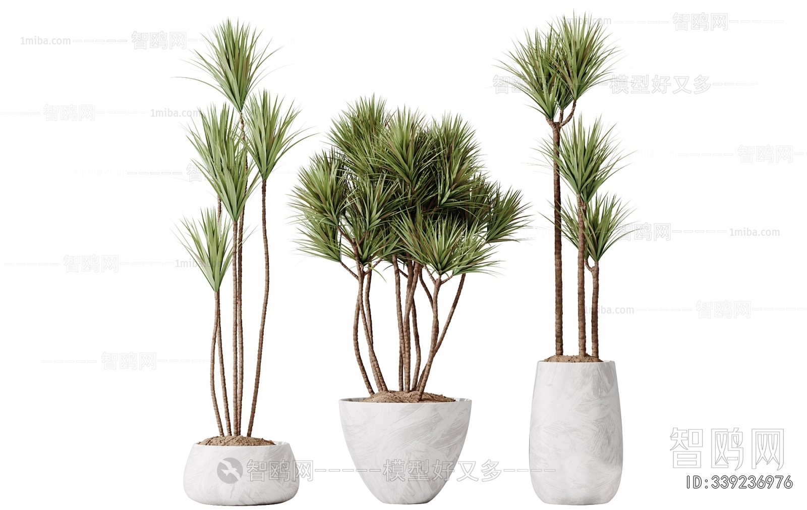Modern Ground Green Plant Potted Plants