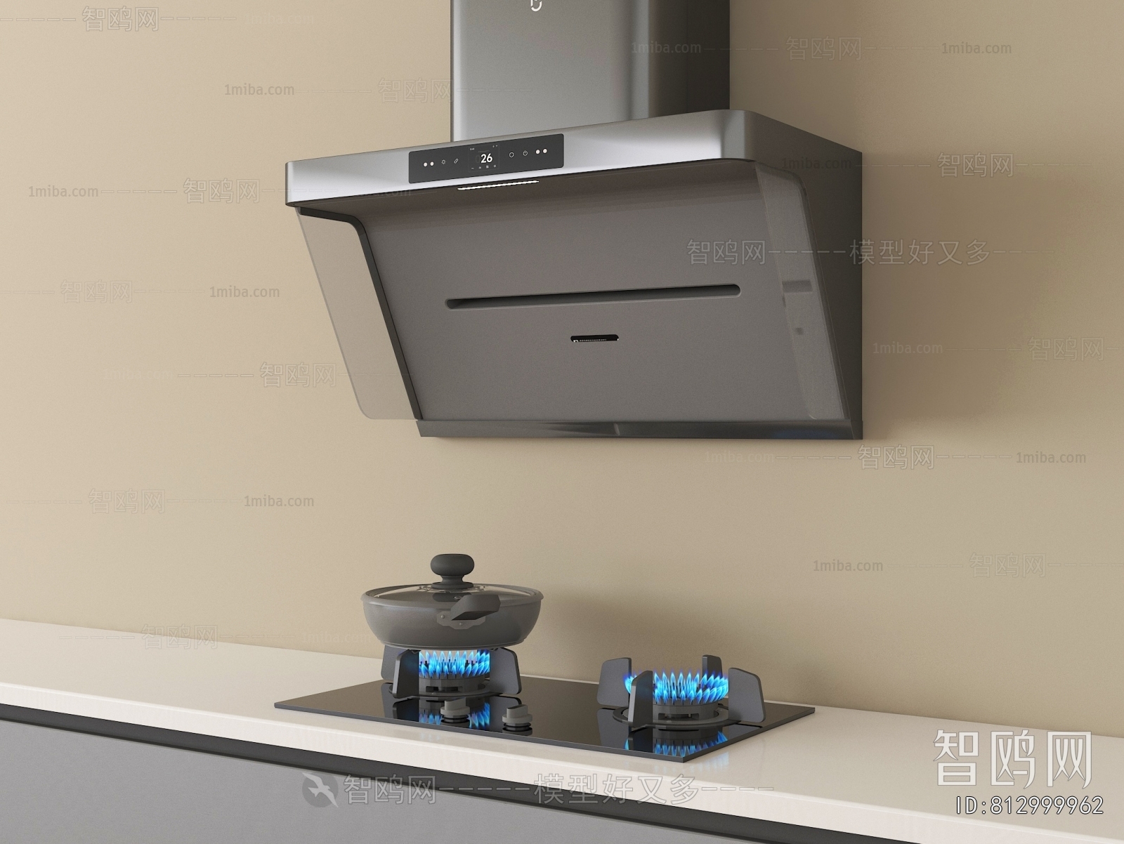 Modern Kitchen Electric Gas Range