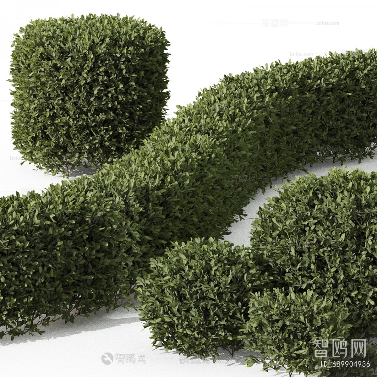 Modern Shrubbery