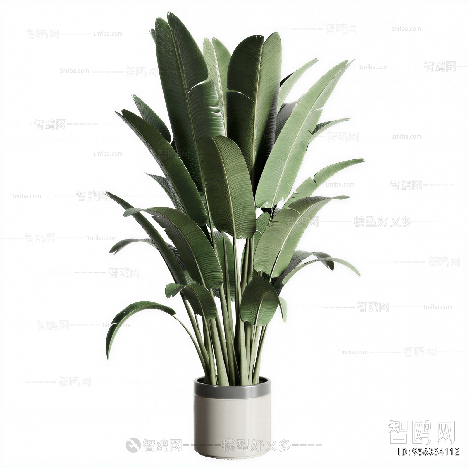 Modern Ground Green Plant Potted Plants