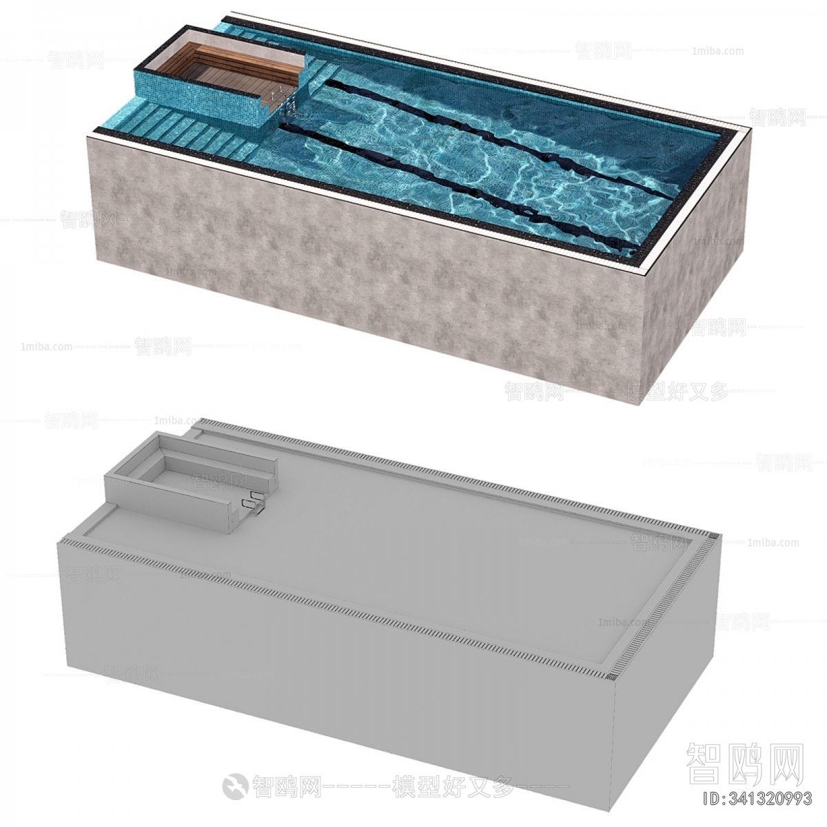 Modern Swimming Pool