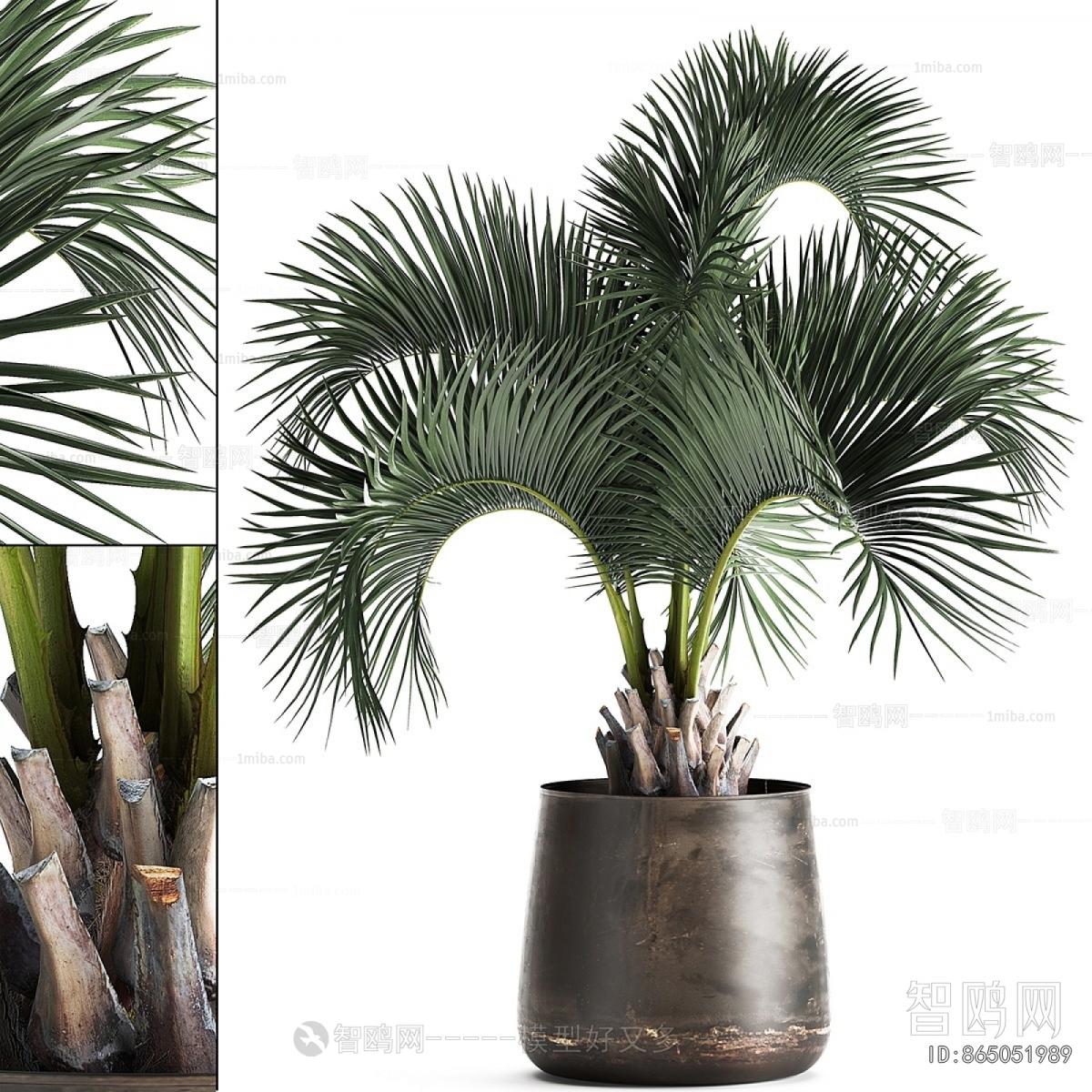 Modern Ground Green Plant Potted Plants