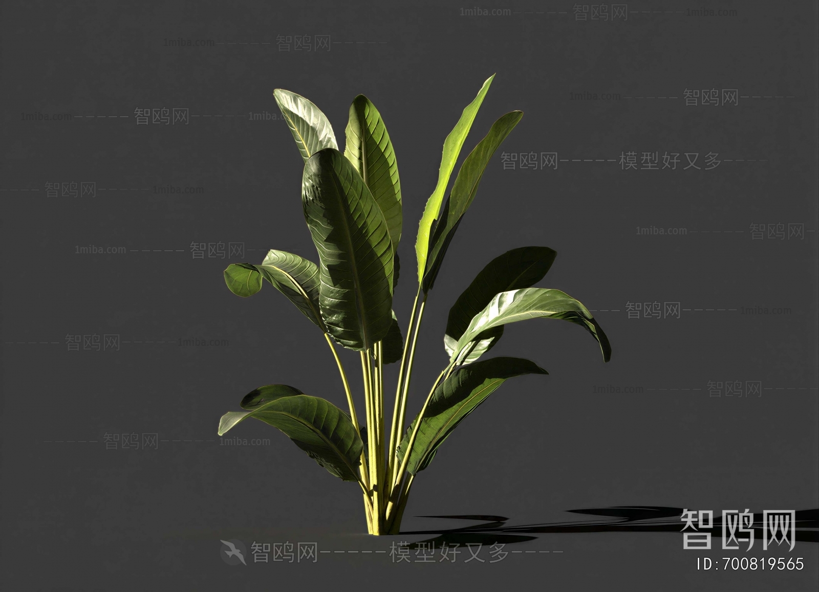 Modern Flowers And Grass