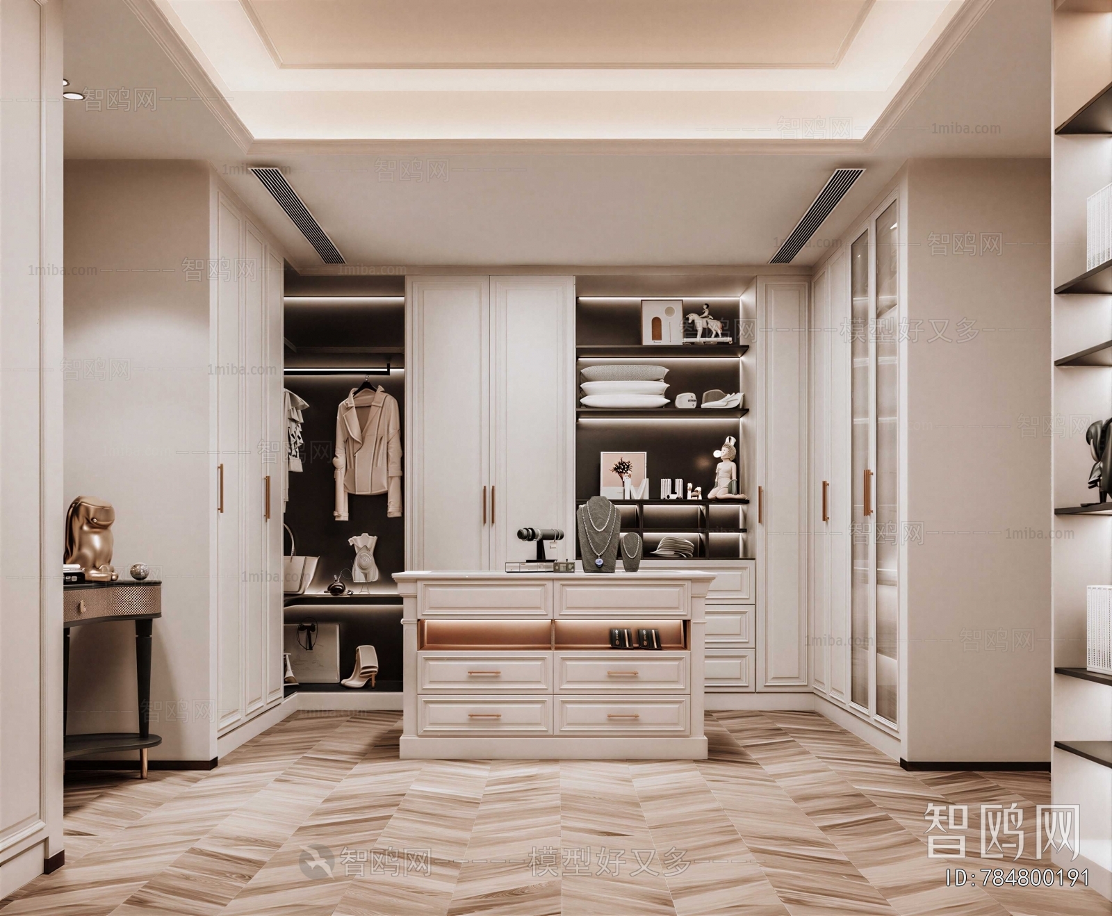 Modern Clothes Storage Area