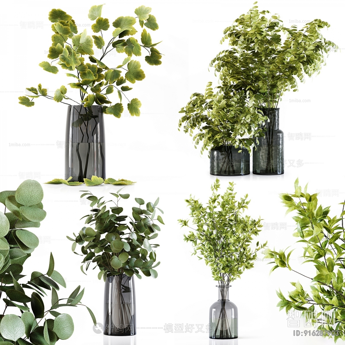 Modern Aquatic Green Plant