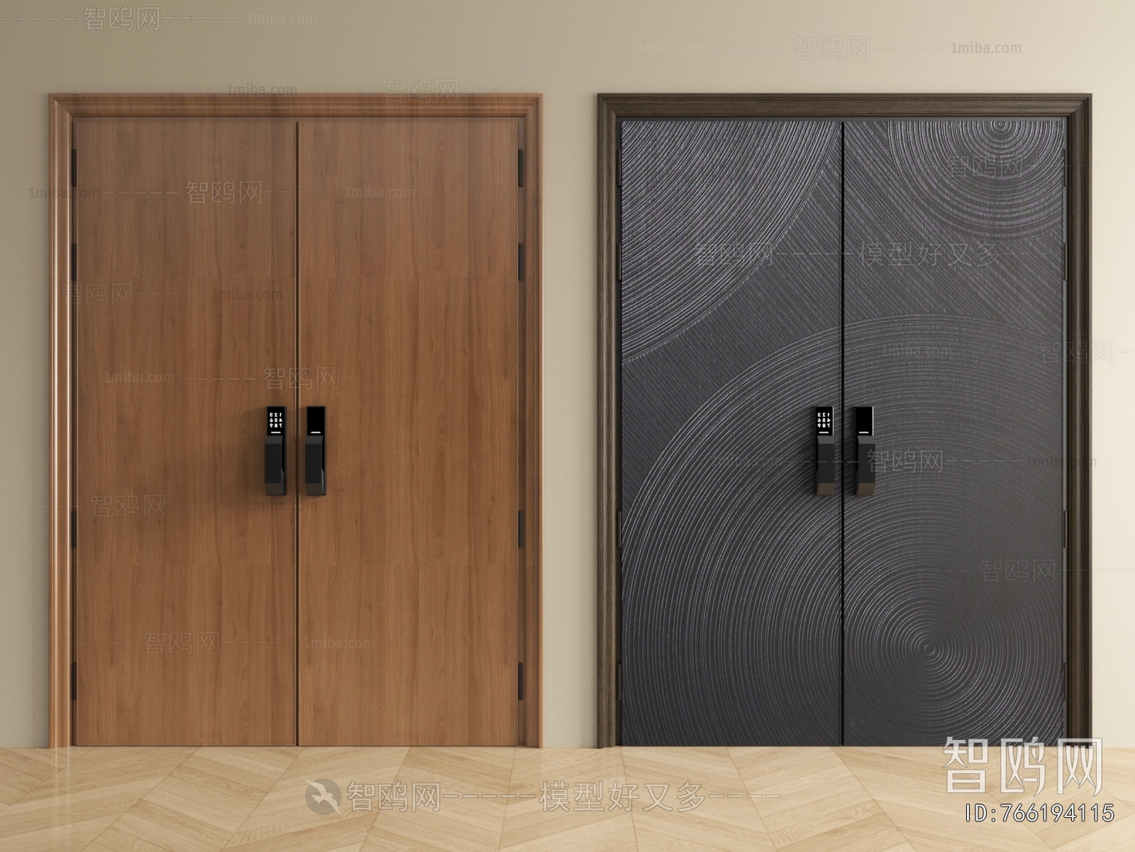 Modern Entrance Door