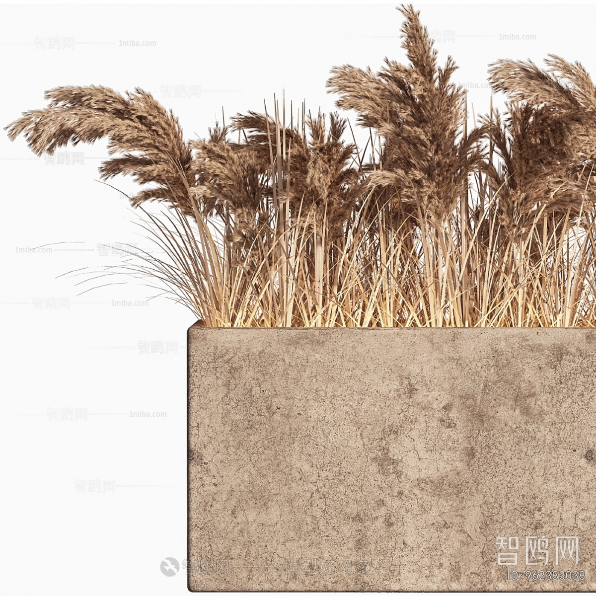 Modern Flower Bed, Flower Bowl, Flower Box