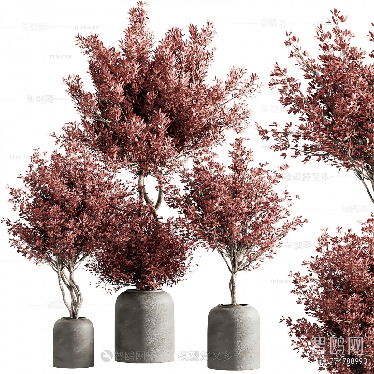 Modern Ground Green Plant Potted Plants