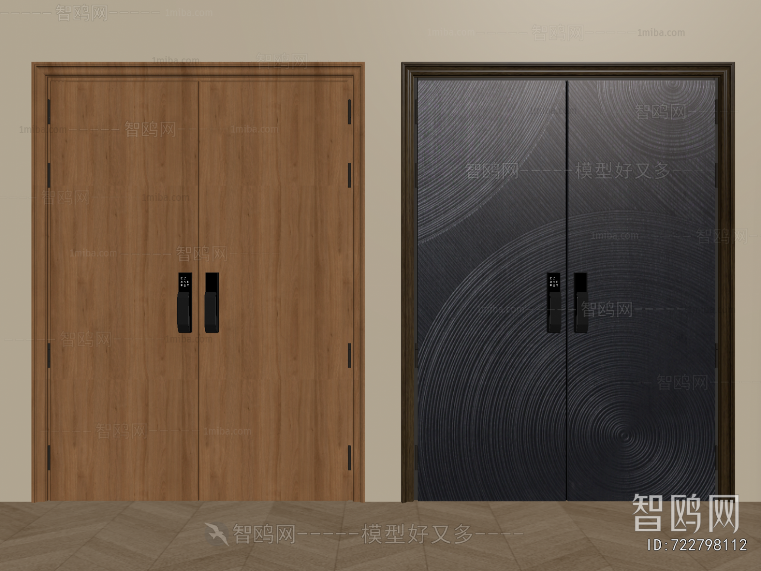 Modern Entrance Door