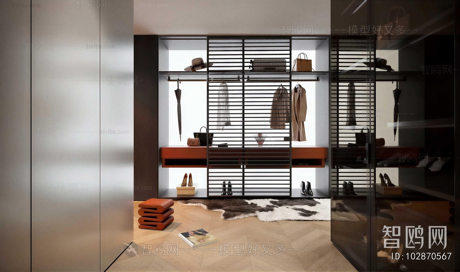 Modern Clothes Storage Area