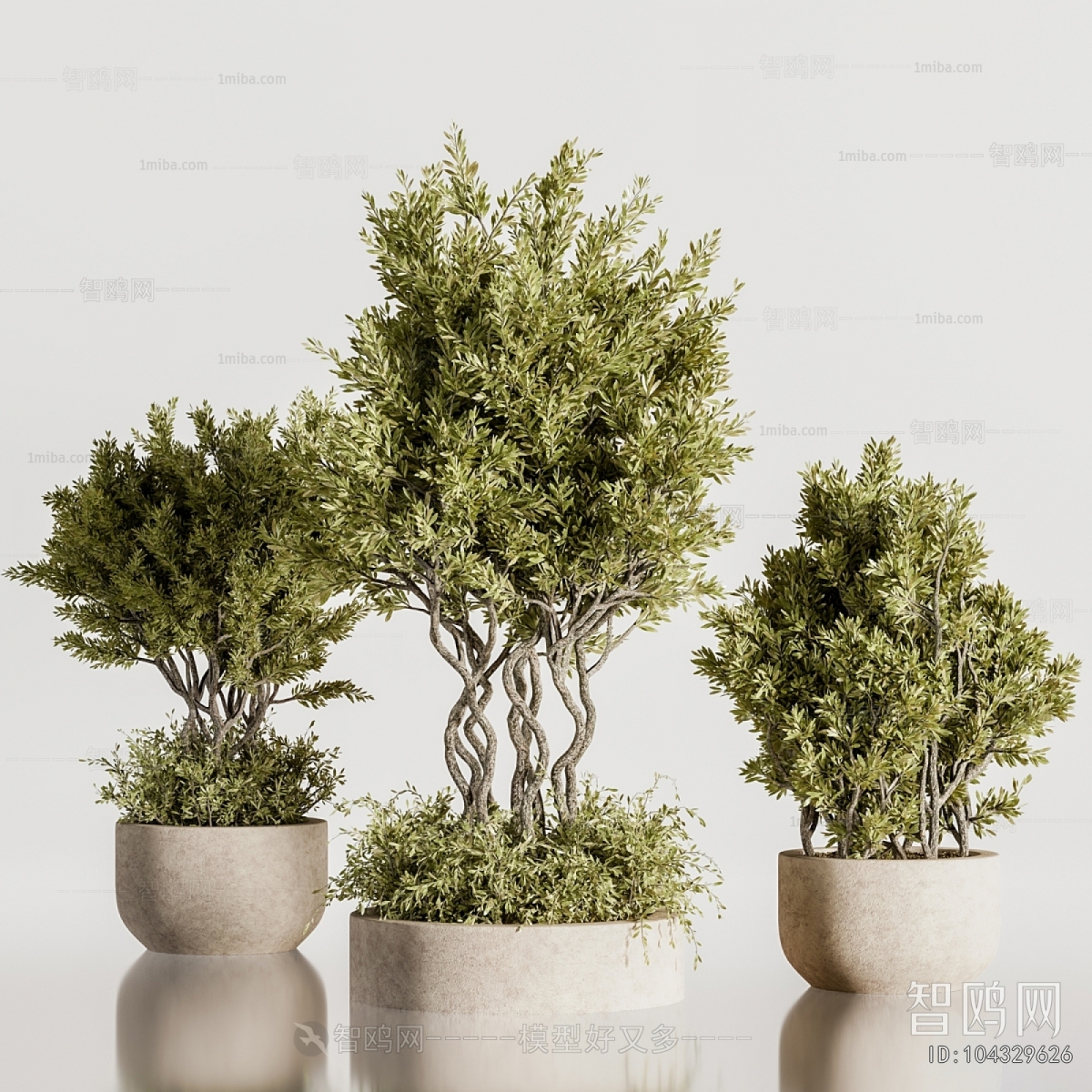 Modern Ground Green Plant Potted Plants