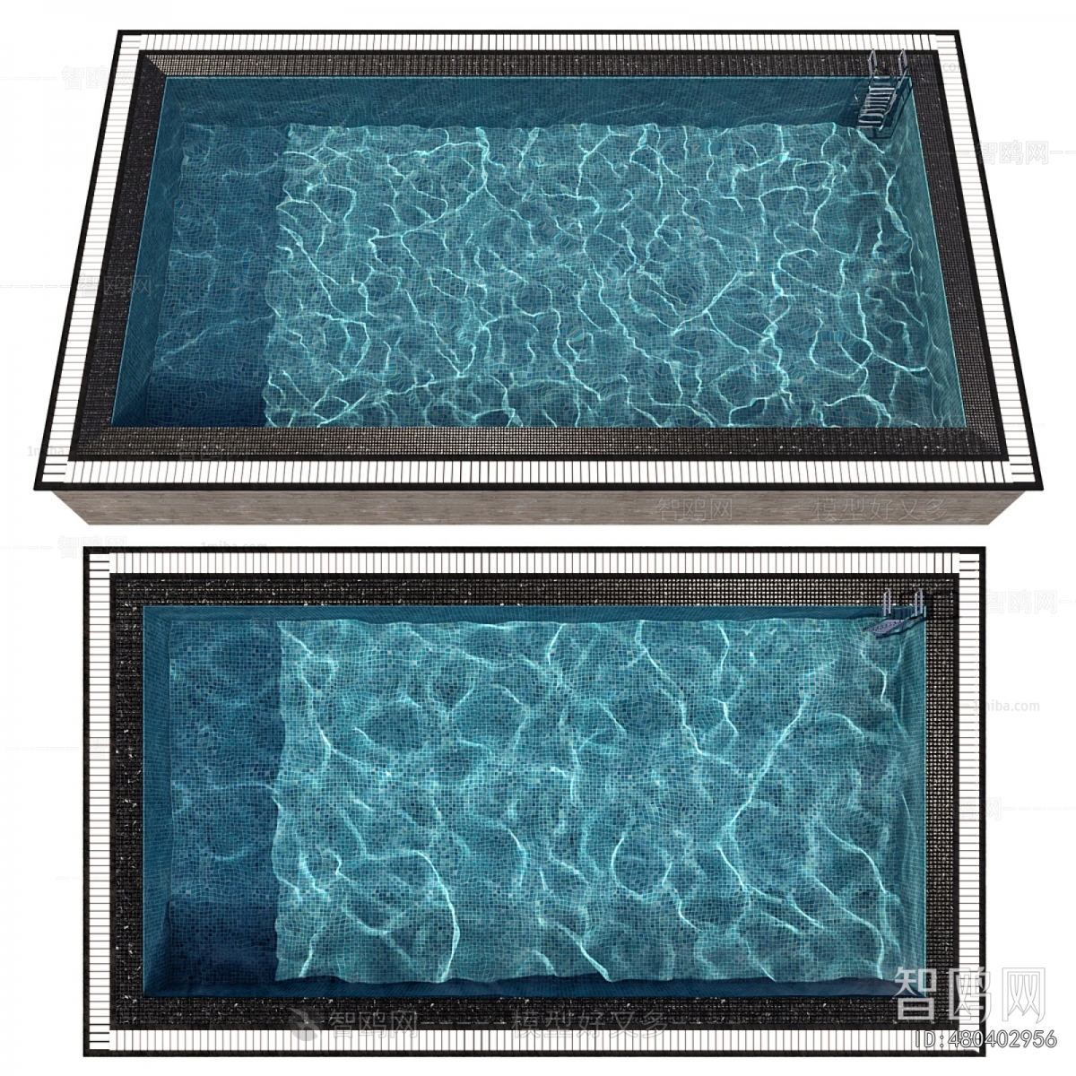 Modern Swimming Pool