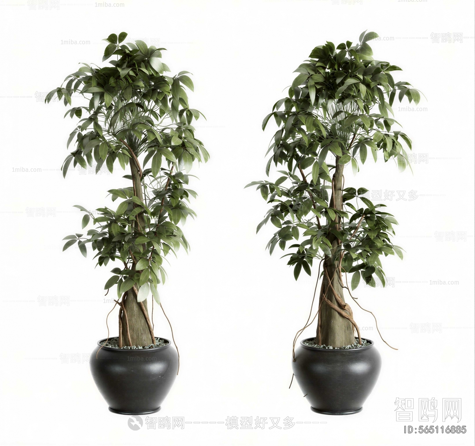 Modern Ground Green Plant Potted Plants