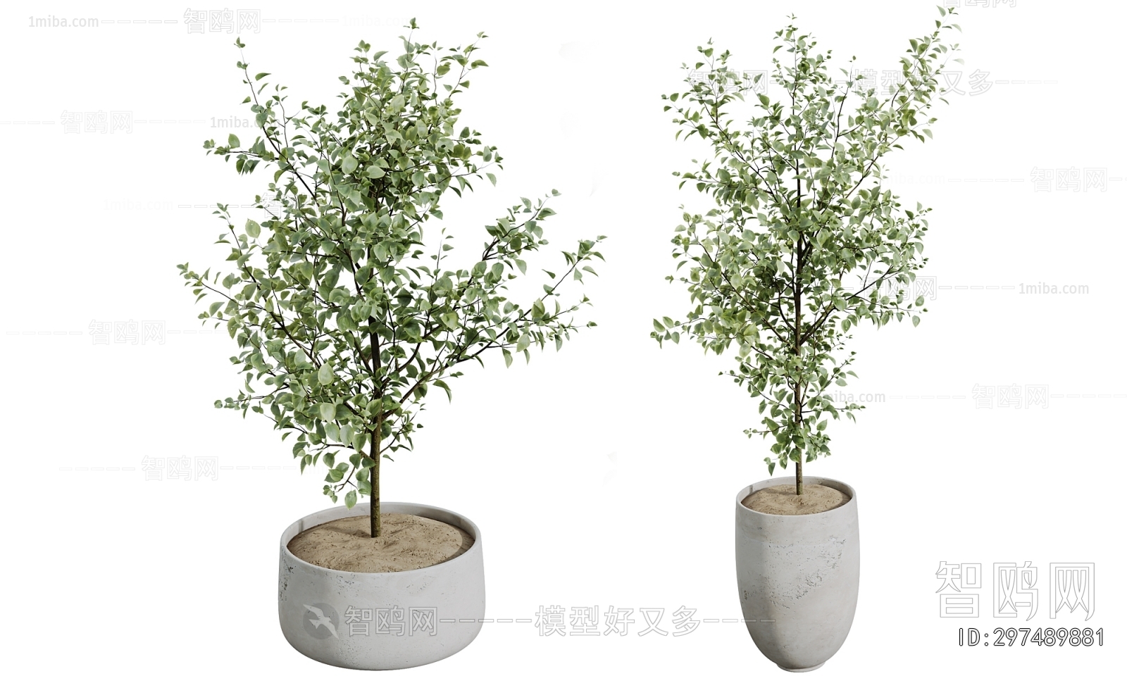 Modern Ground Green Plant Potted Plants