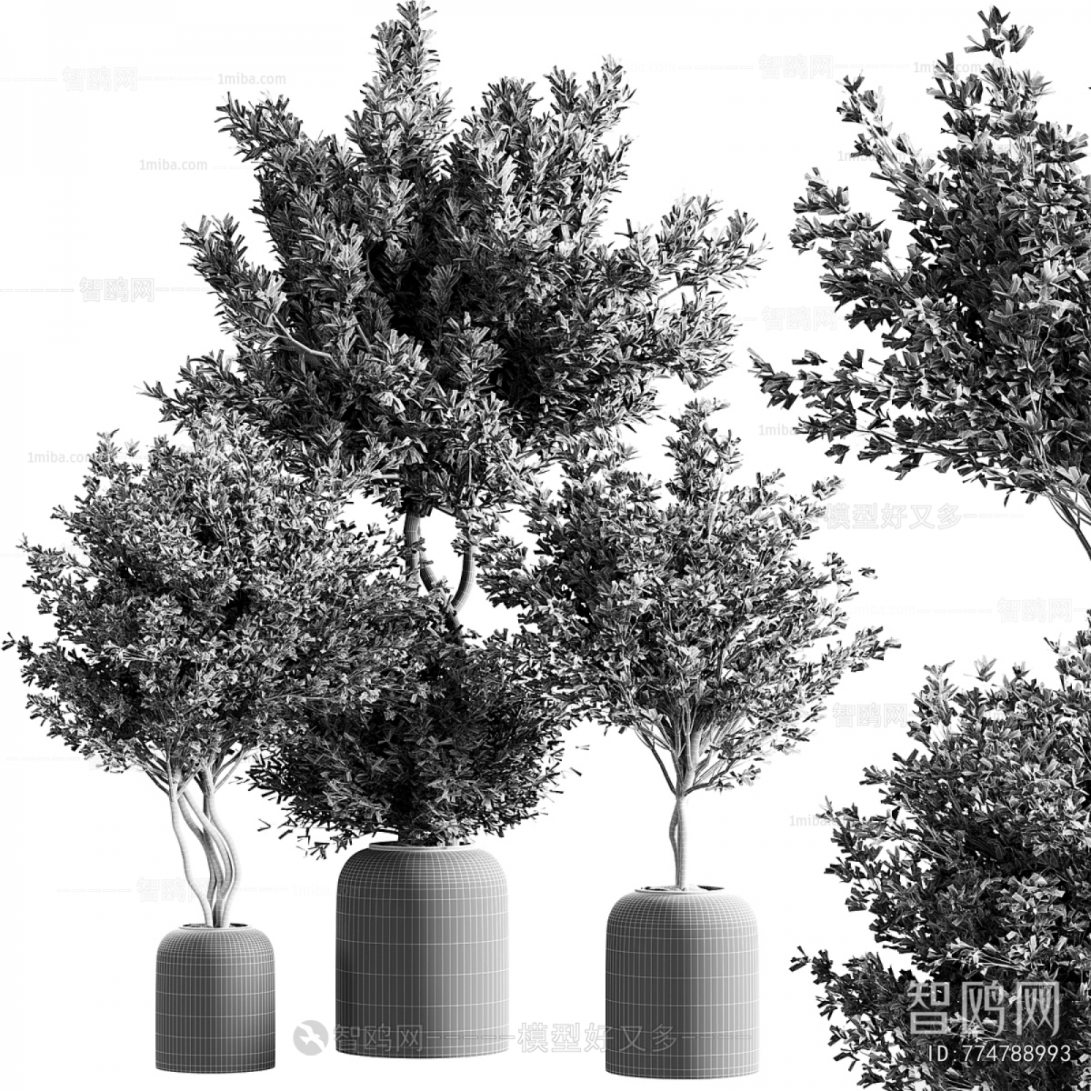 Modern Ground Green Plant Potted Plants