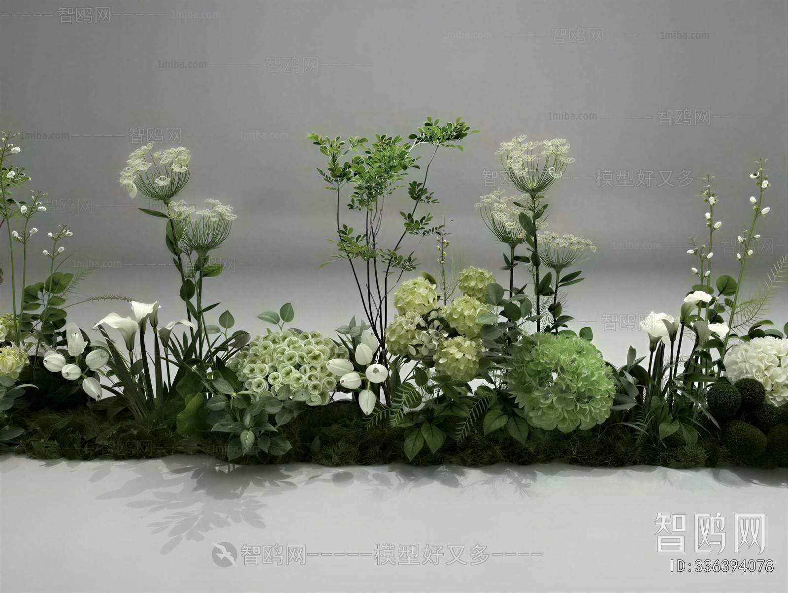 Modern Plant Landscaping